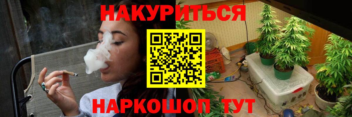 Шишки марихуана конопля  Вход с VPN  Конопля Ganja  Конопля Ganja  Бузулук 